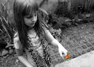 15448521685_37873e0164_k