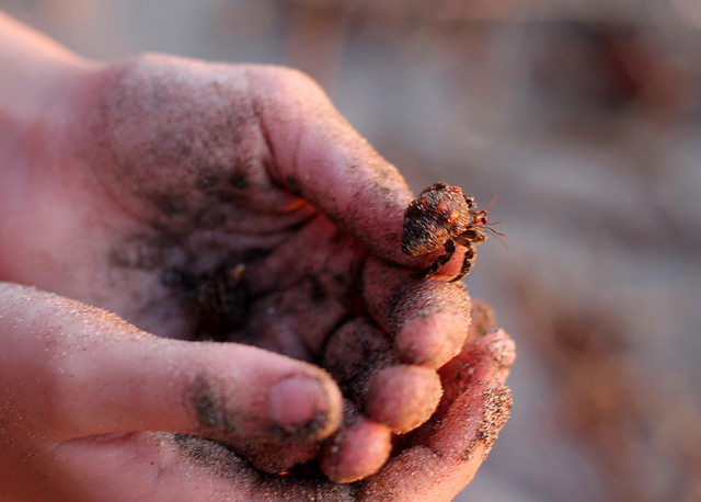 16839979109_4b80d036ab_z