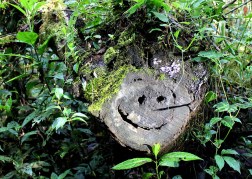 16635421910_1d9c8ee491_z