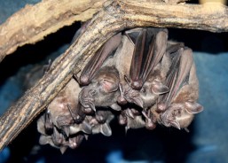 16821569342_dd50bb7c8e_z